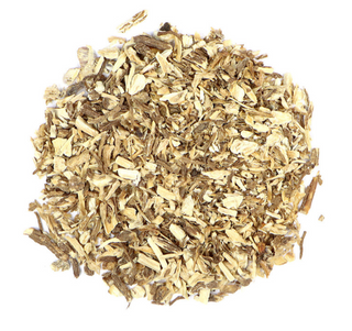 Angelica Root (angelica archangelica)